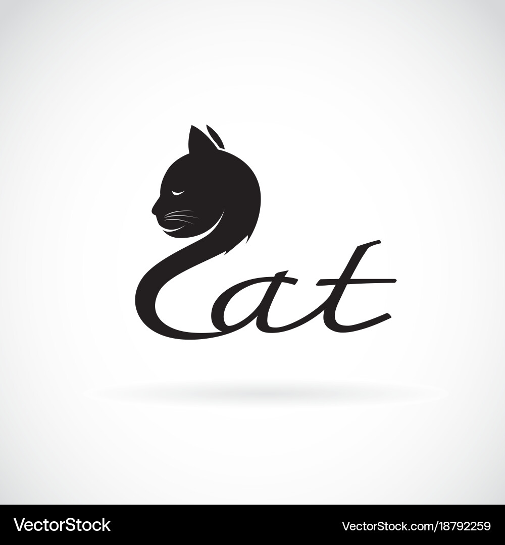 Design cat is text on a white background pet Vector Image