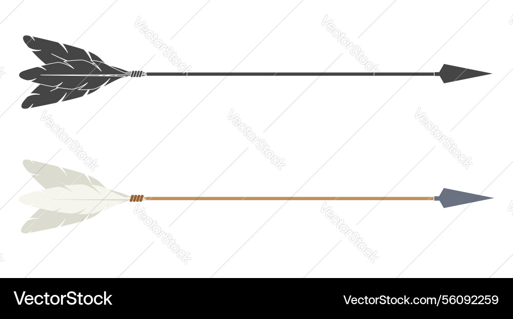 Hunting arrow long with fletching and tip Hunting arrow long with fletching and tip Vector Image
