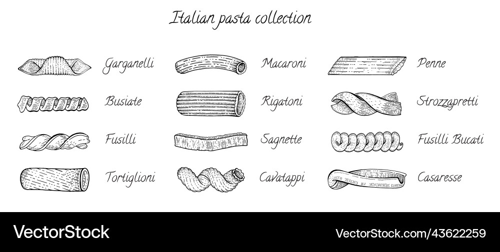 Italienische Pasta-Typen im Skizzenstil Hand Italienische Pasta-Typen im Skizzenstil Hand vektorbild