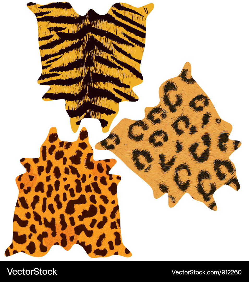 Animal Print Skins (912260) – Royalty-Free Vector | VectorStock, image size:955x1080