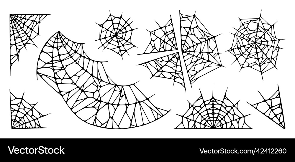 Spider web set isolated on white background Spider web set isolated on white background vector image