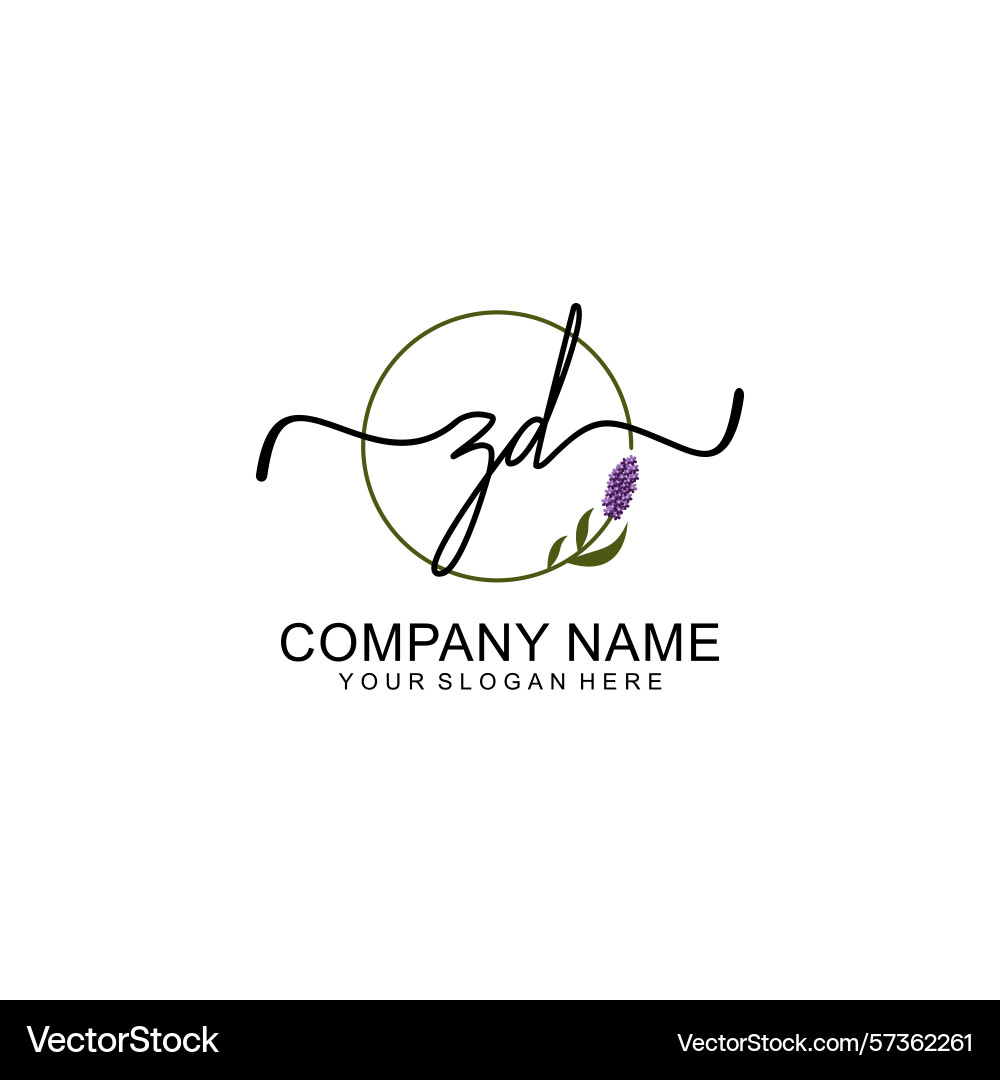 Handwritten zd initial logo with circle Vector Image