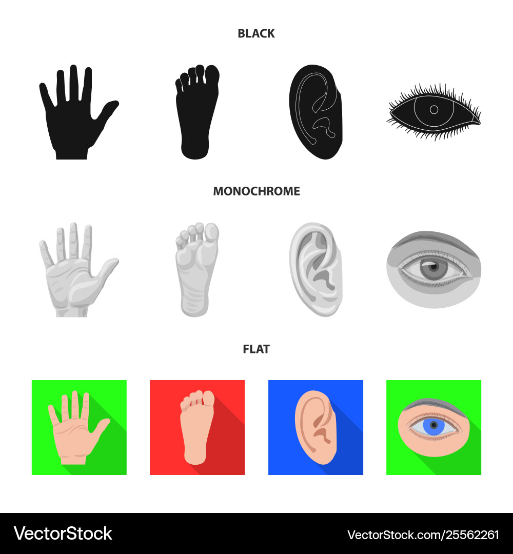 Human and part icon set Human and part icon set vector image