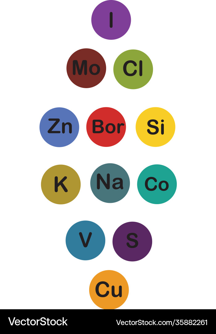 Minerals microelements and macro elements useful vector image