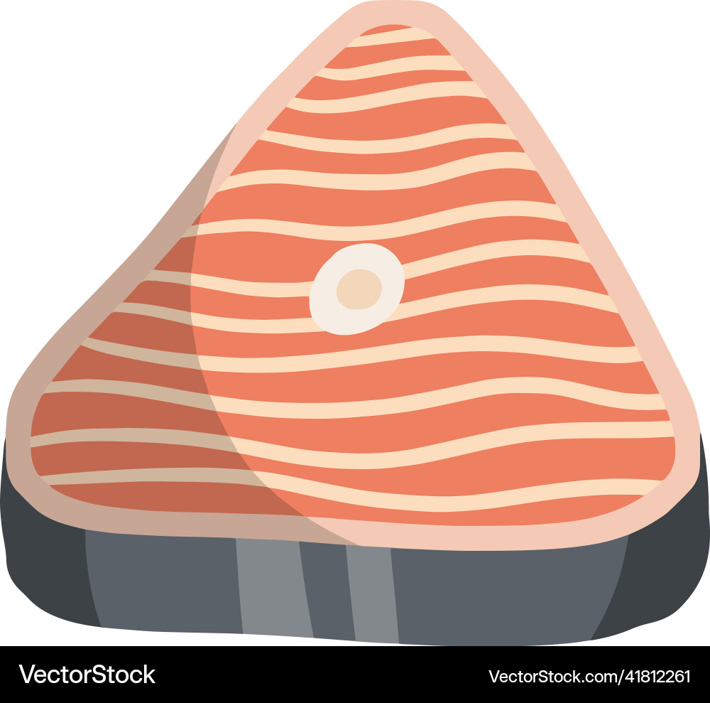 Piece of red salmon fish meat Piece of red salmon fish meat vector image