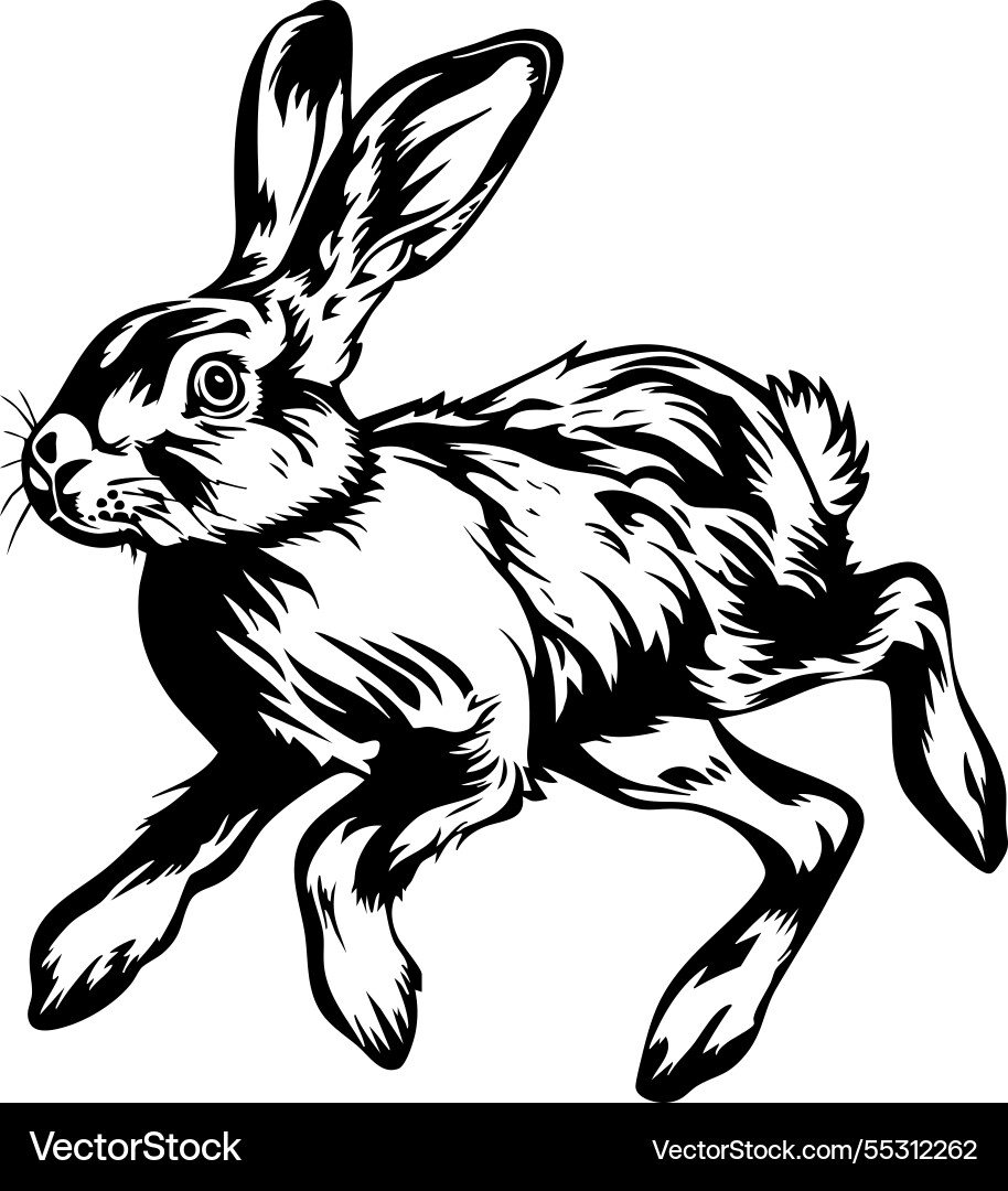 Running Rabbit with Fur Texture Vector Image