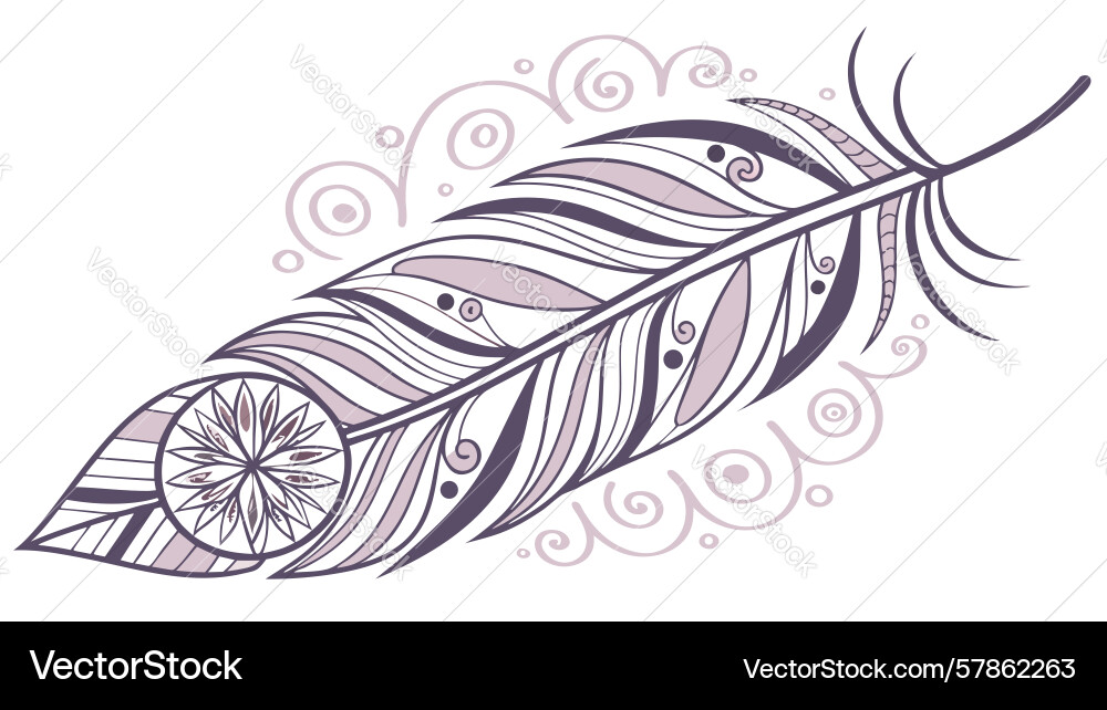 Detailed feather with intricate patterns Vector Image