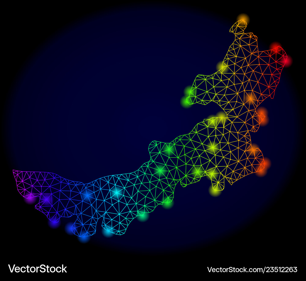 Polygonal wire frame color mesh map of inner Polygonal wire frame color mesh map of inner vector image