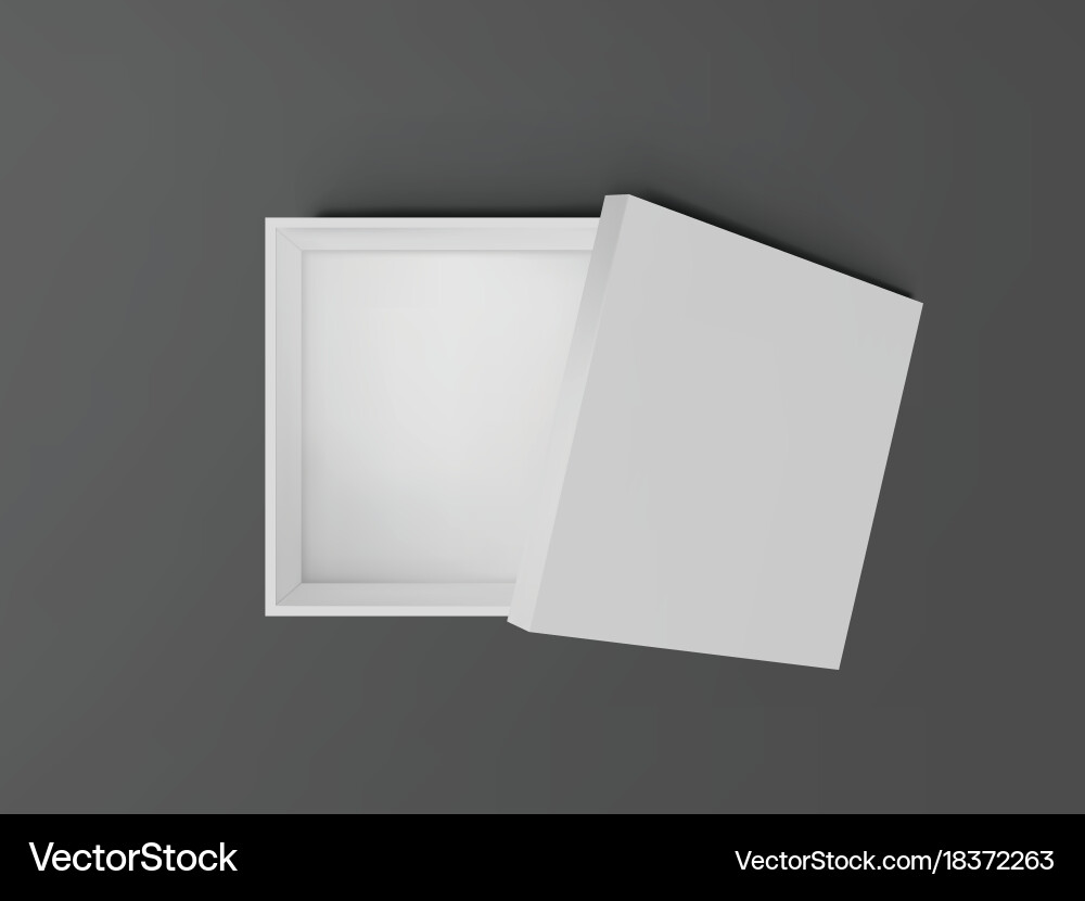 White open empty squares cardboard box top view vector image