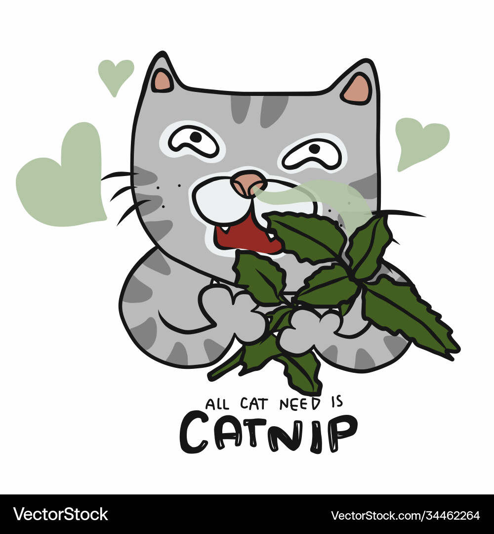 Cat Enjoying Catnip Vector Image