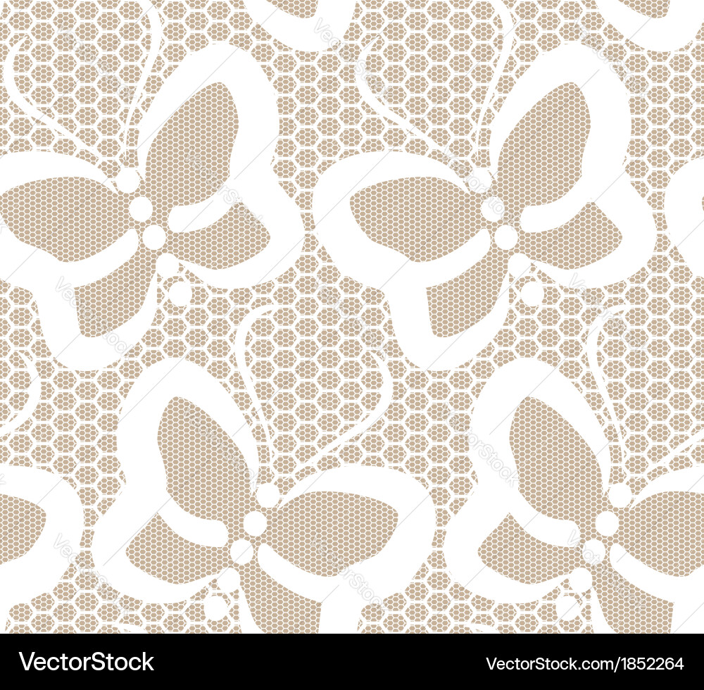 Delicate White Lace Pattern Royalty Free Vector Image
