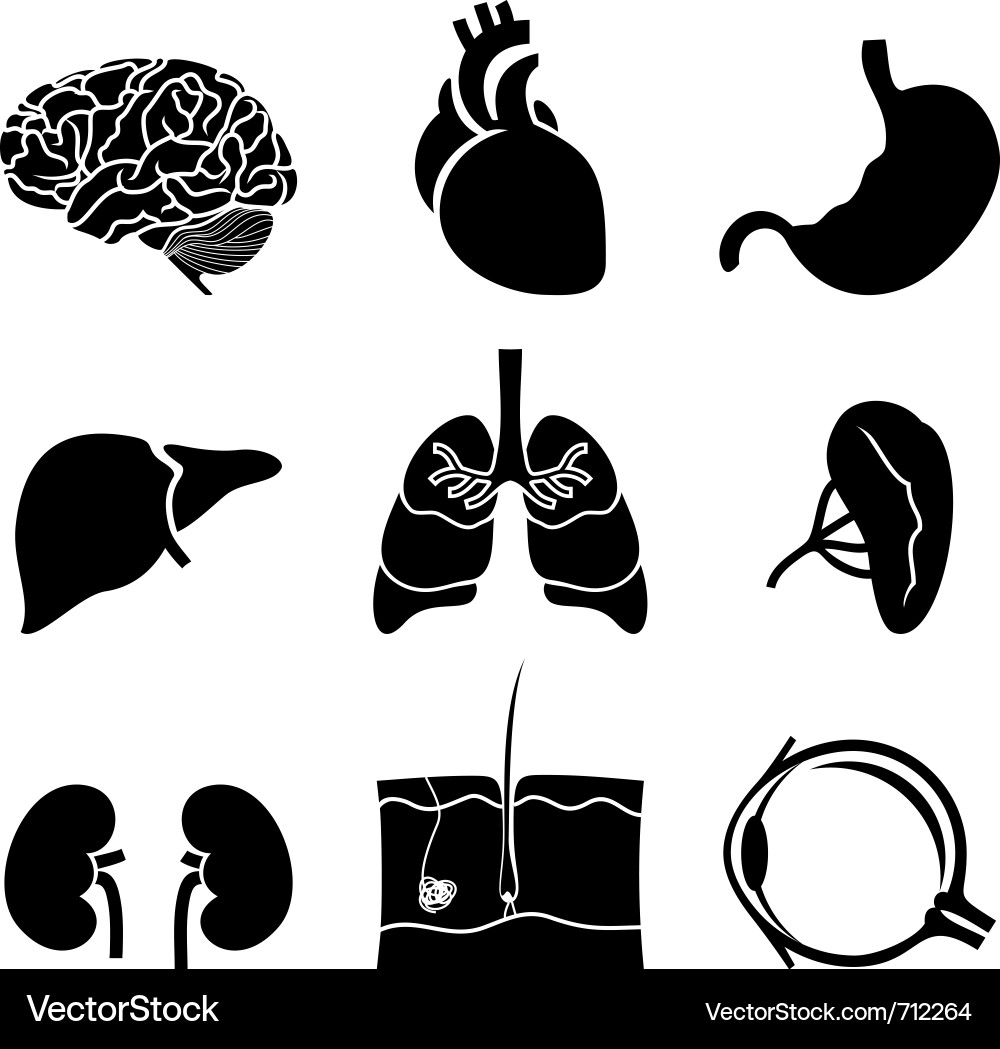 Doctor icons Vector Image