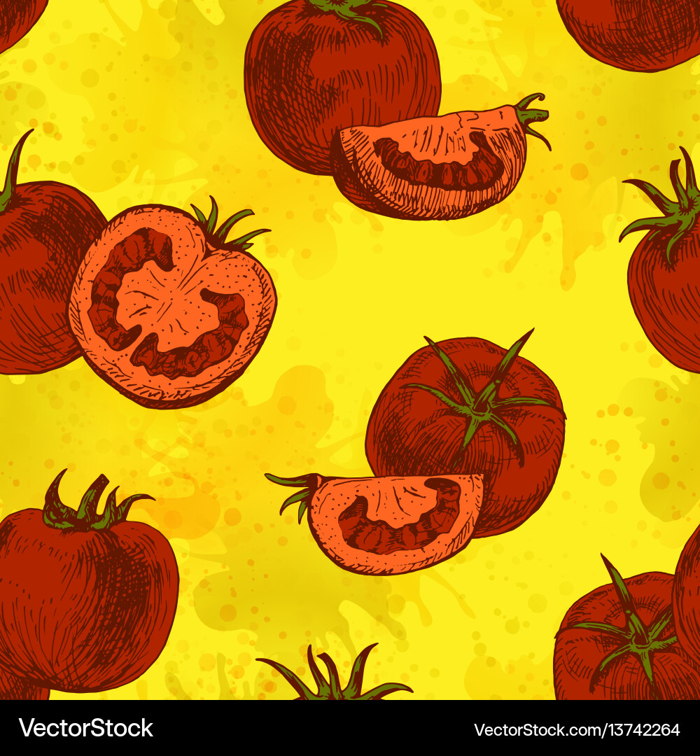 Tomato Pattern - Retro Background vector image