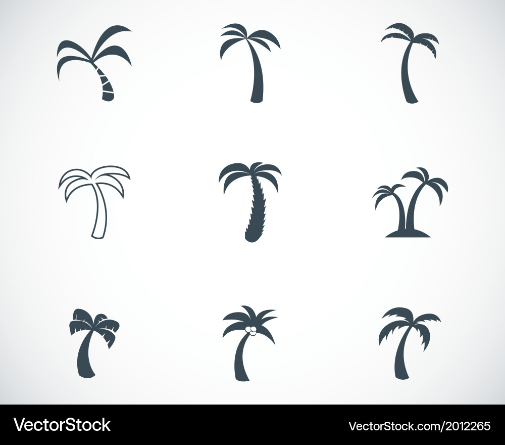 Palm Tree Icon Set vector image