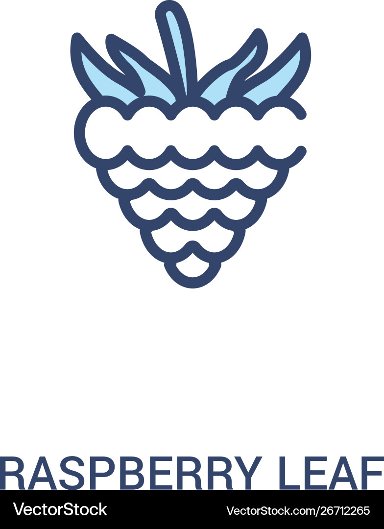 Raspberry leaf concept 2 colored icon simple line vector image