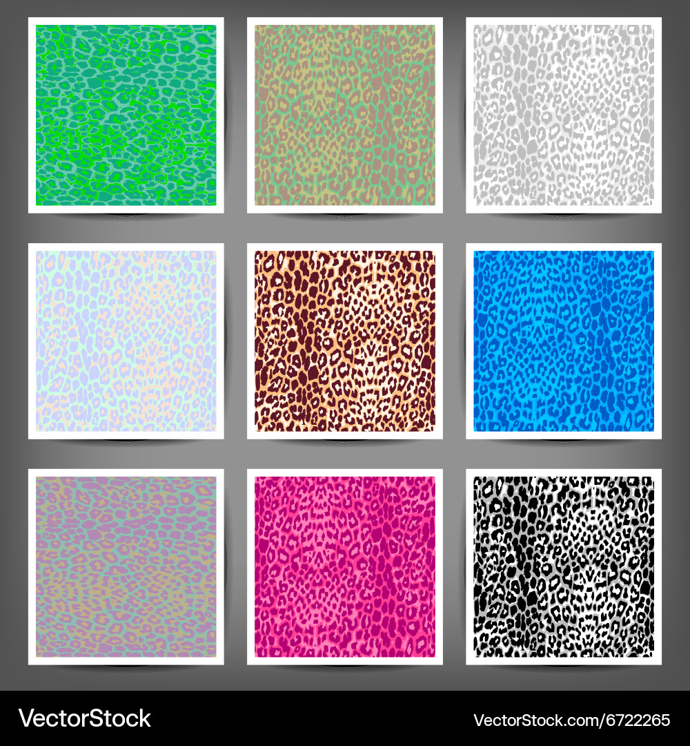 Set of seamless leopard prints Vector Image