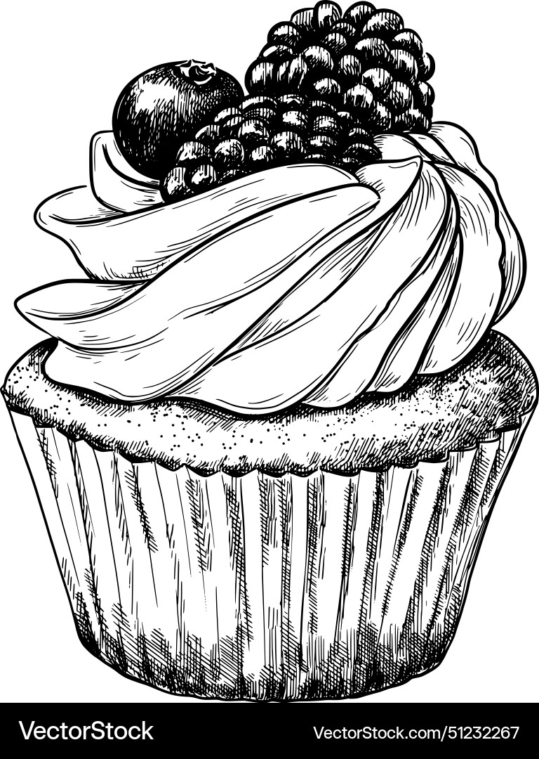 Cupcake vintage sketch food Royalty Free Vector Image