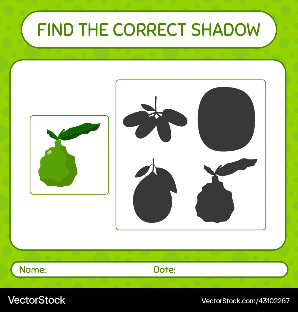 Find the correct shadows game with kaffir lime Vector Image