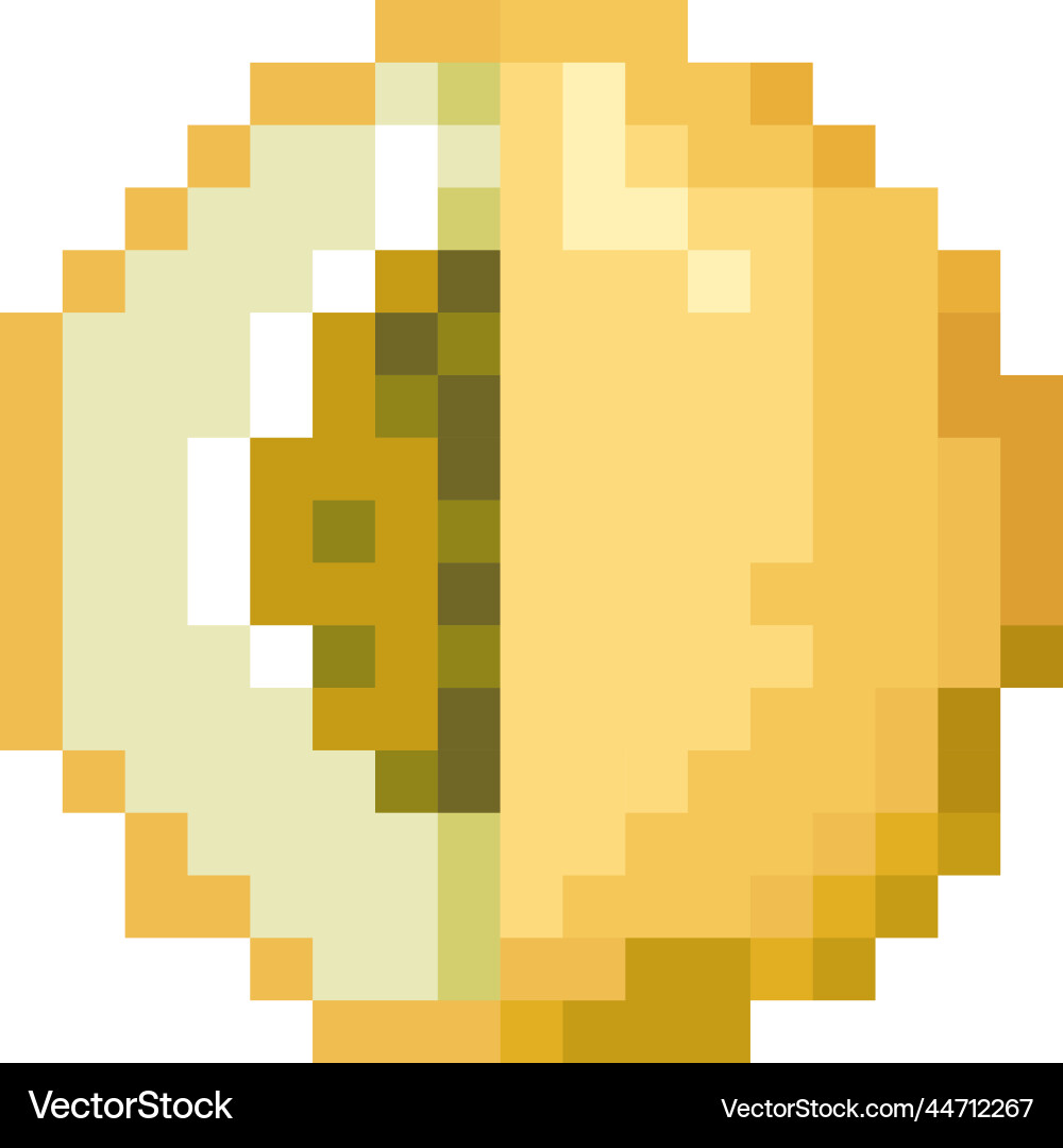 Pixel fruit icon melon pixelated art Pixel fruit icon melon pixelated art vector image