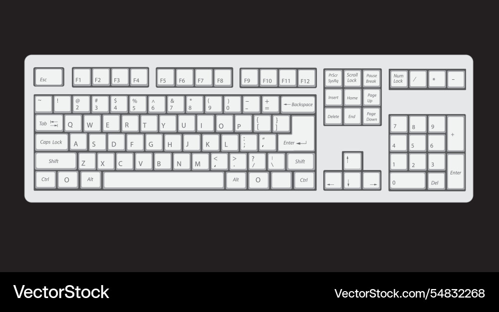 Modern Computer Keyboard vector image