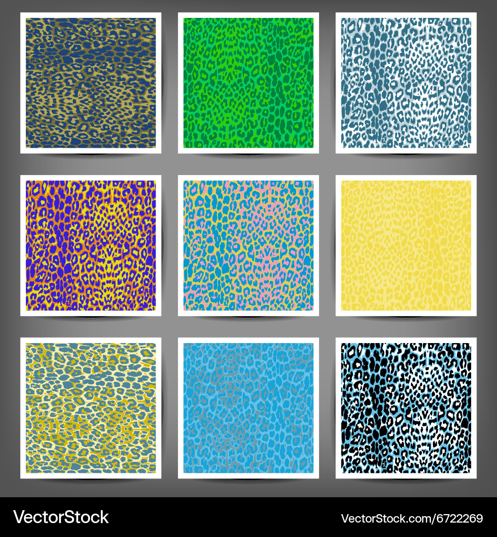 Leopard Print Seamless Patterns vector image