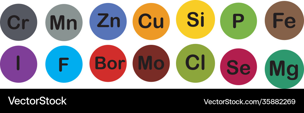 Minerals microelements and macro elements useful vector image