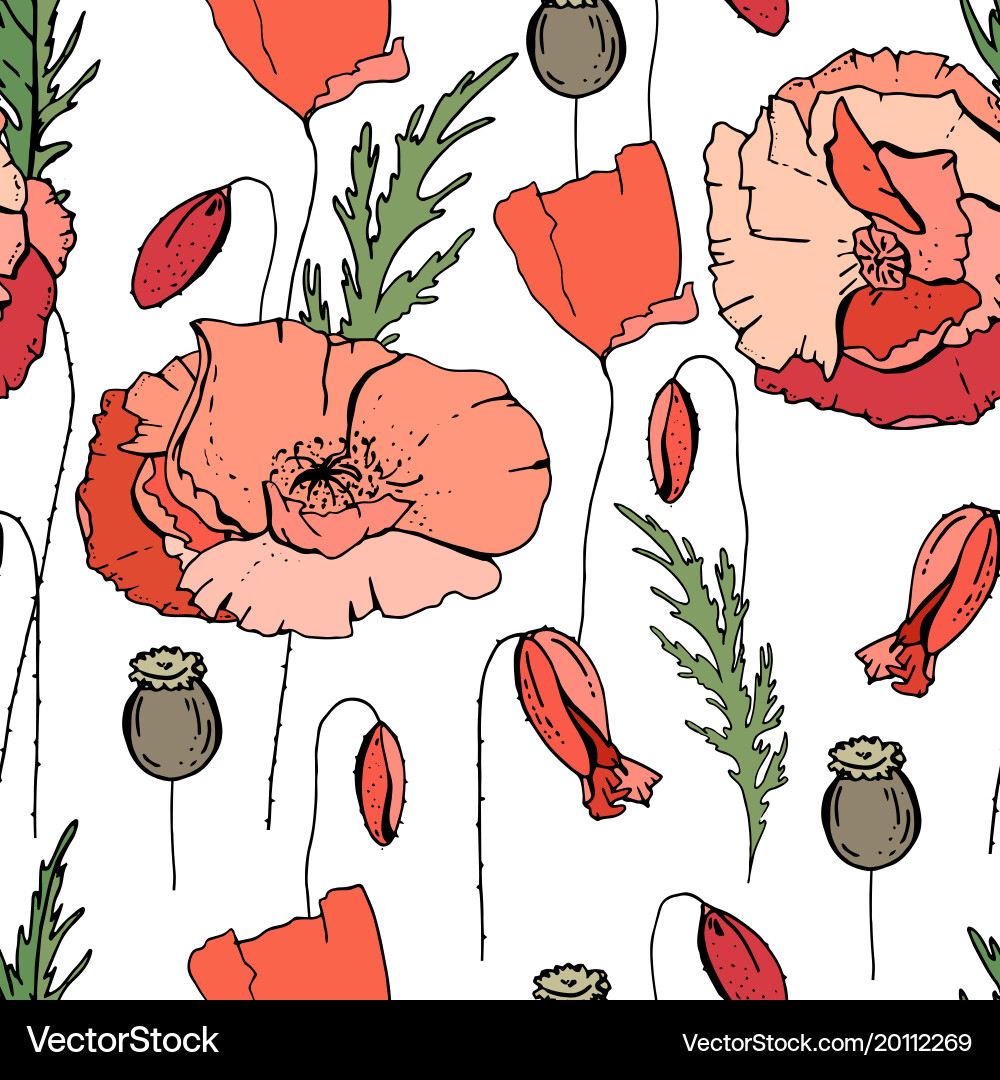 Seamless pattern with poppies endless texture fo vector image