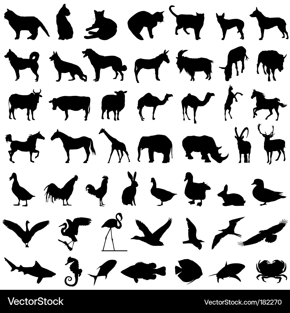 Animal Silhouettes Set vector image