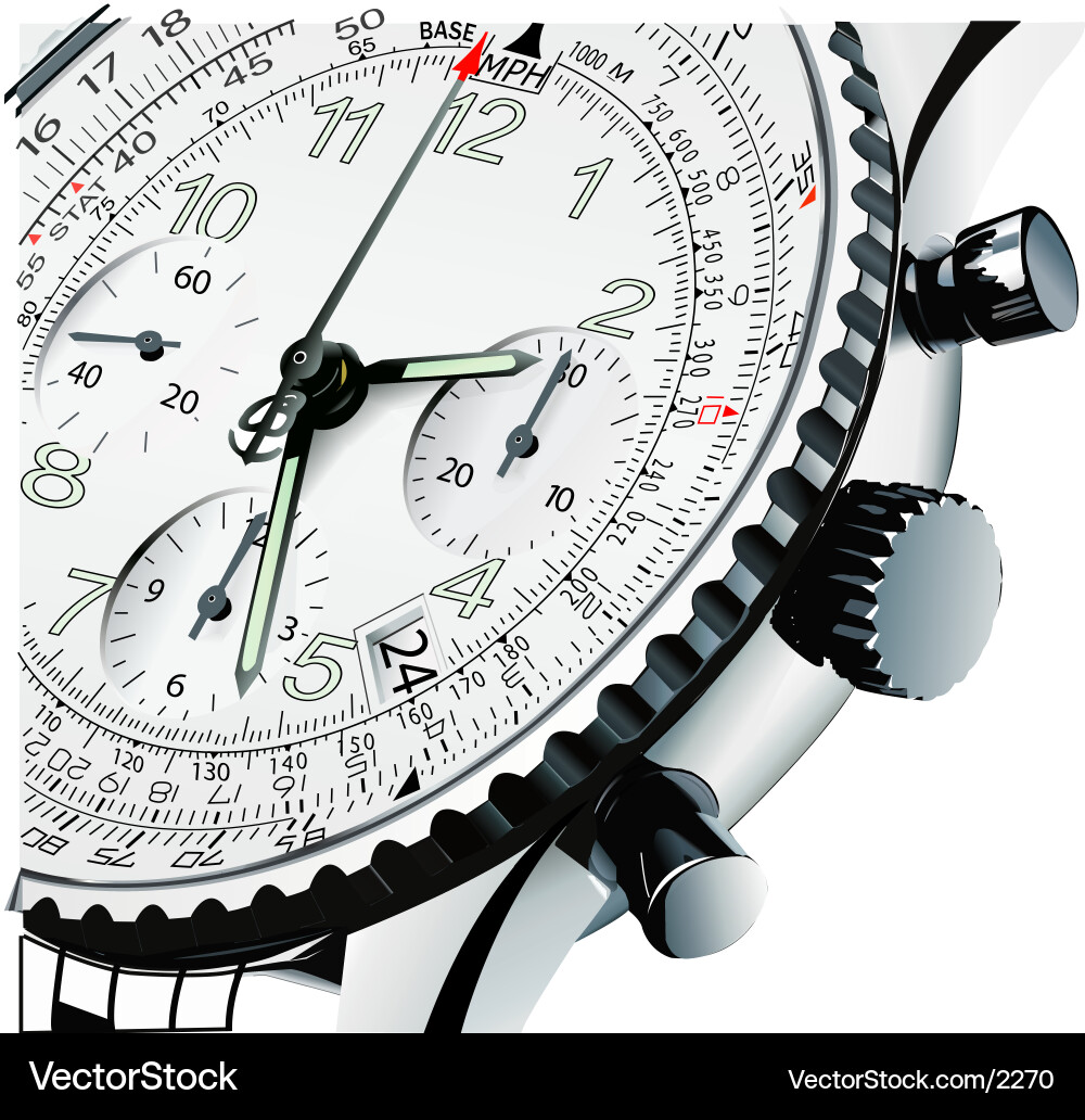 Elegant Watch Display vector image
