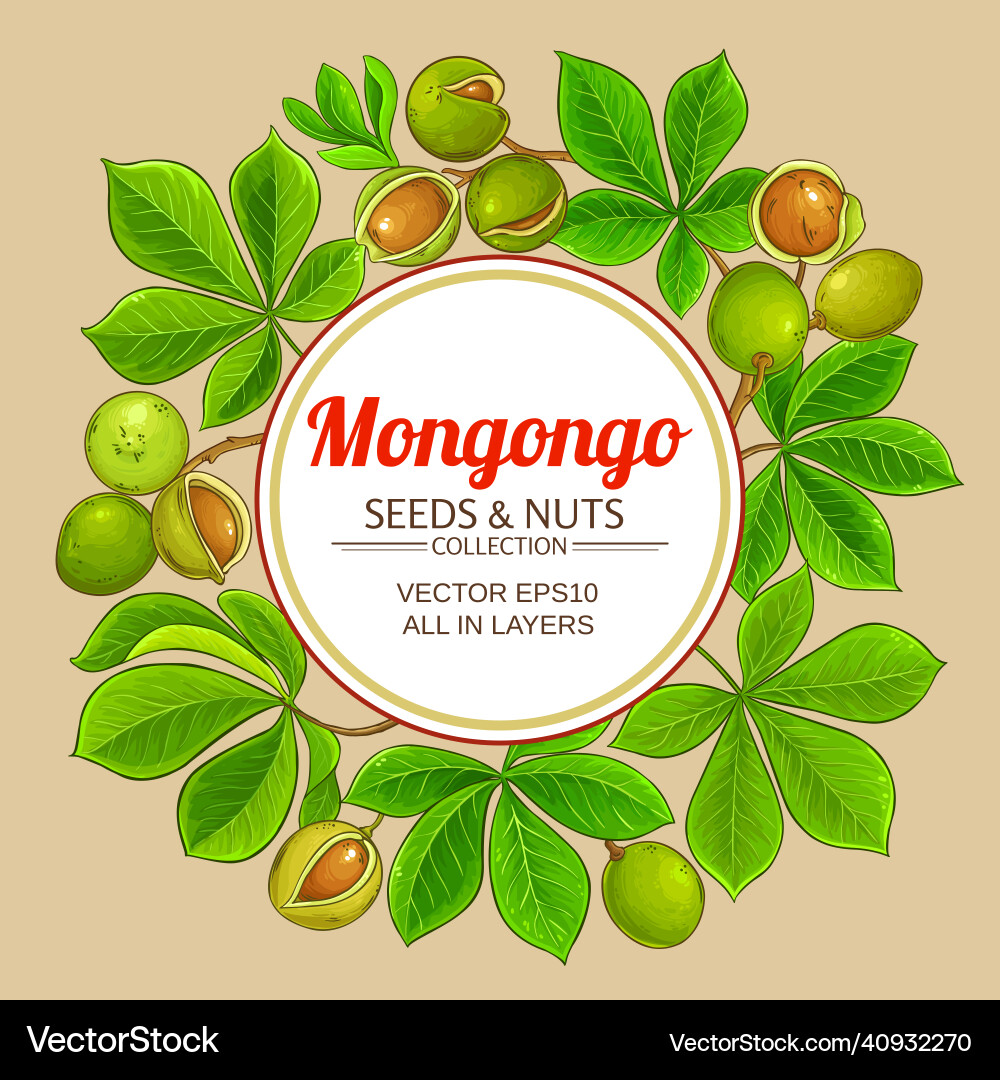 Mongongo branches frame on color background Mongongo branches frame on color background vector image