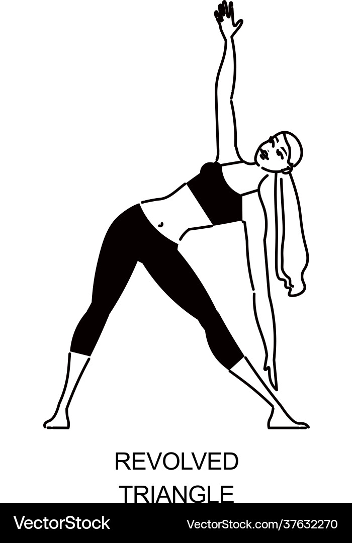 Revolved triangle pose composition Revolved triangle pose composition vector image
