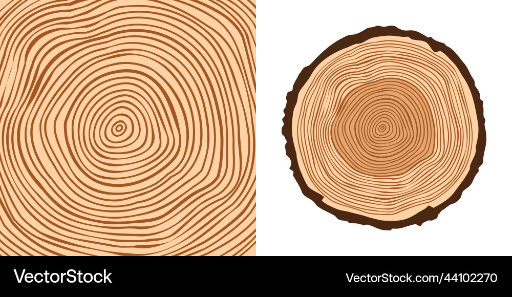 Round tree trunk cut sawn pine or oak slice saw Round tree trunk cut sawn pine or oak slice saw vector image