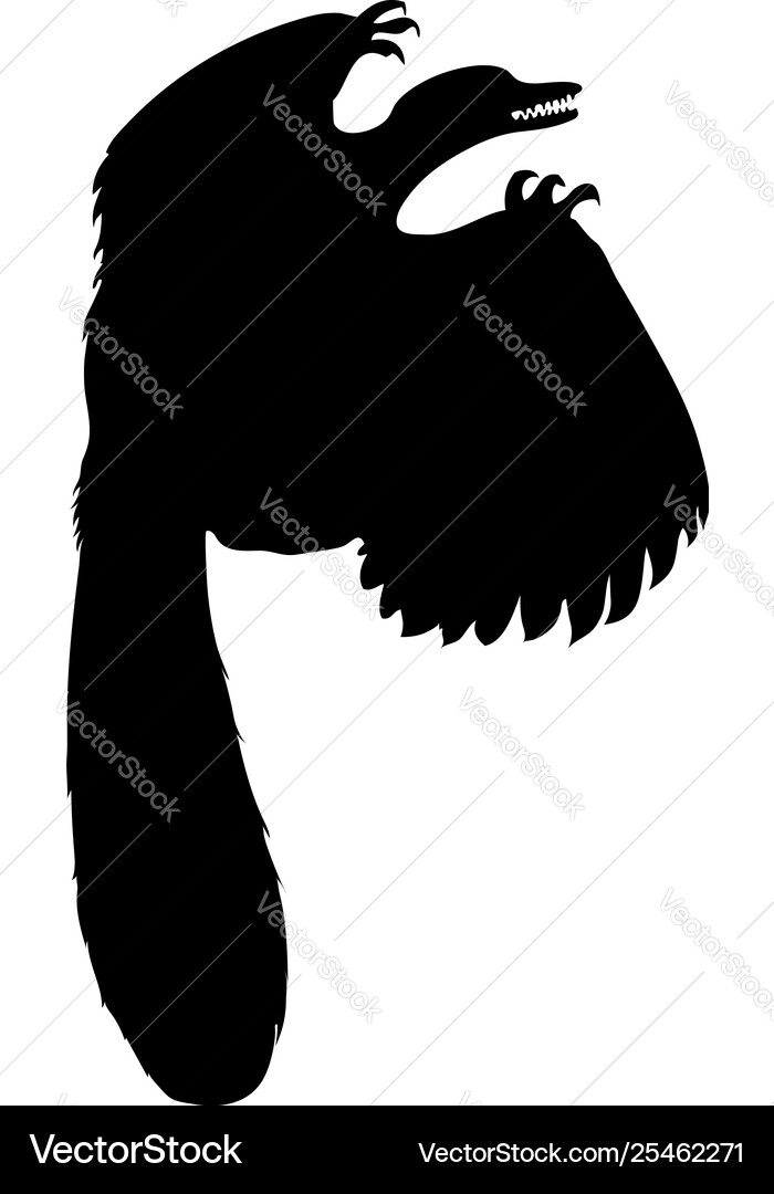 Bird silhouette Vector Image