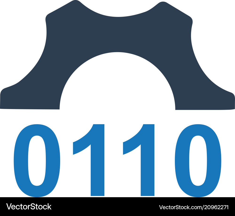 Custom coding icon vector image