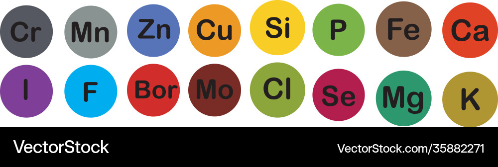 Minerals microelements and macro elements useful Minerals microelements and macro elements useful vector image