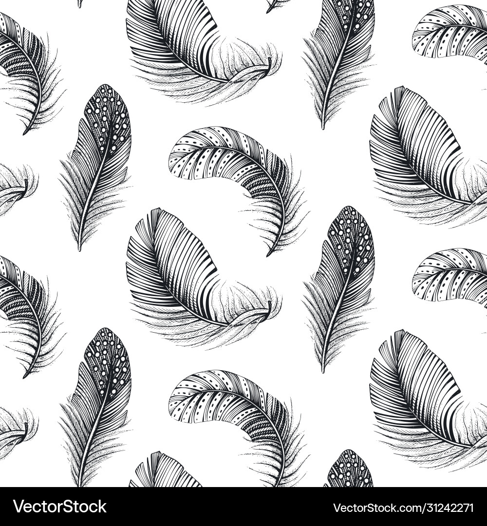 Natural Bird Feather Pattern vector image