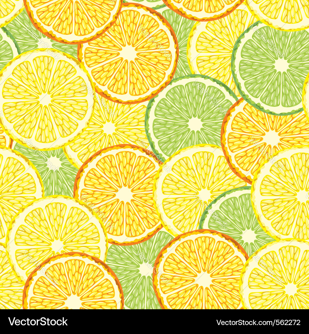 Citrus Slice Pattern Vector Image