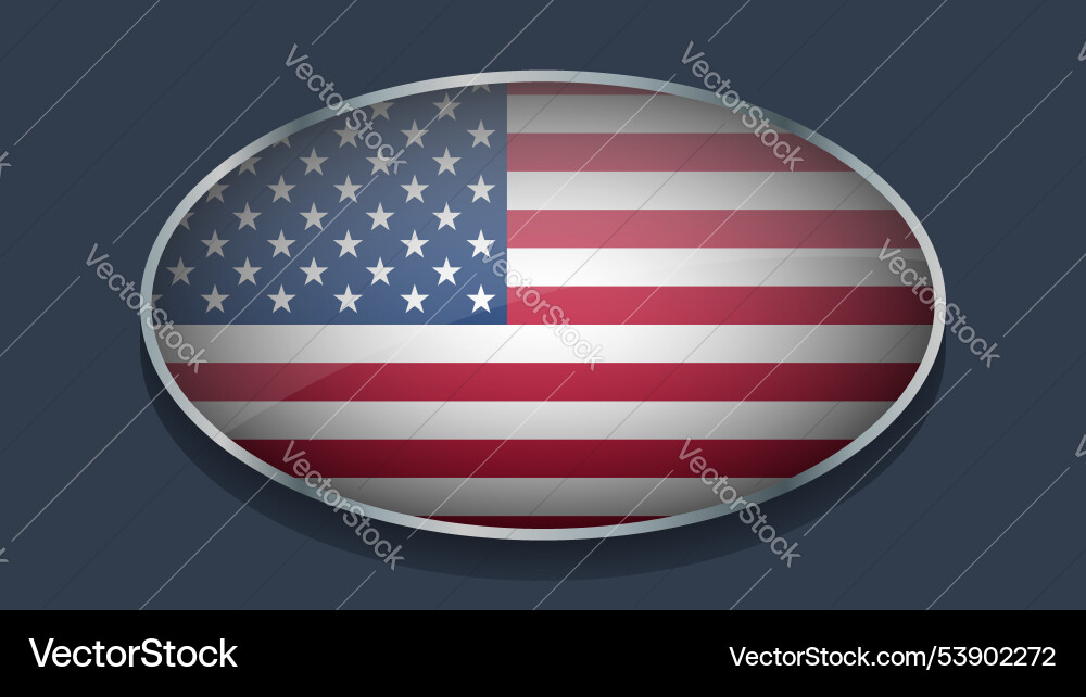 Eclipse shape of usa flag with original color Vector Image