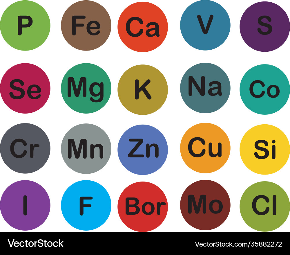Minerals microelements and macro elements useful vector image