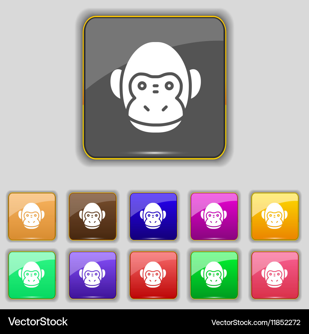 Monkey icon sign set with eleven colored buttons vector image
