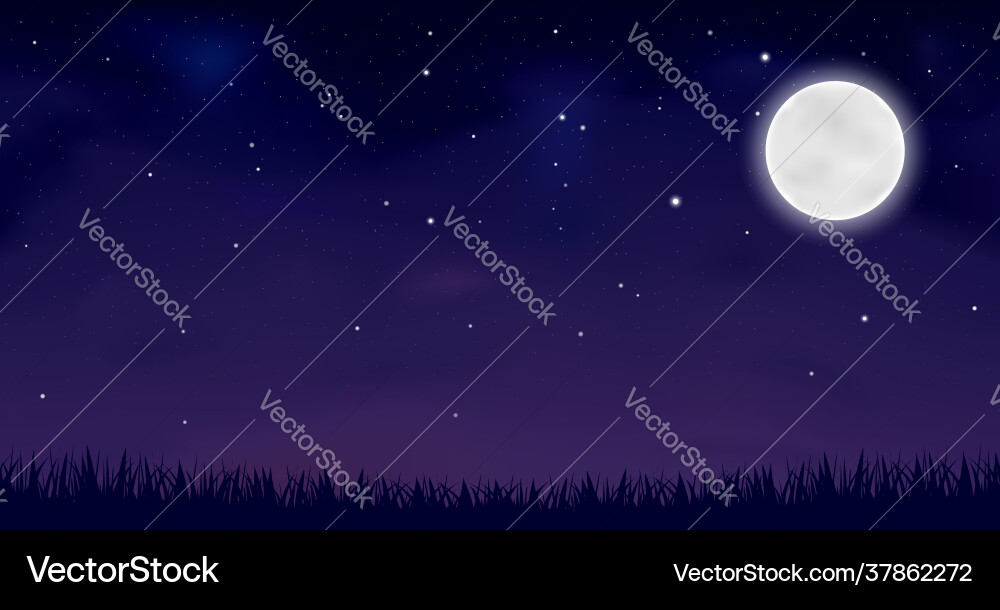 Night sky Royalty Free Vector Image - VectorStock