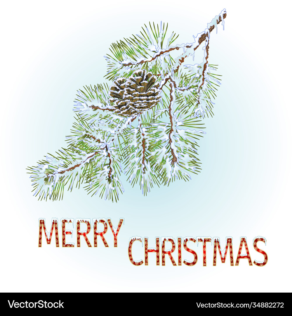 Pine branches with cones Pine branches with cones vector image