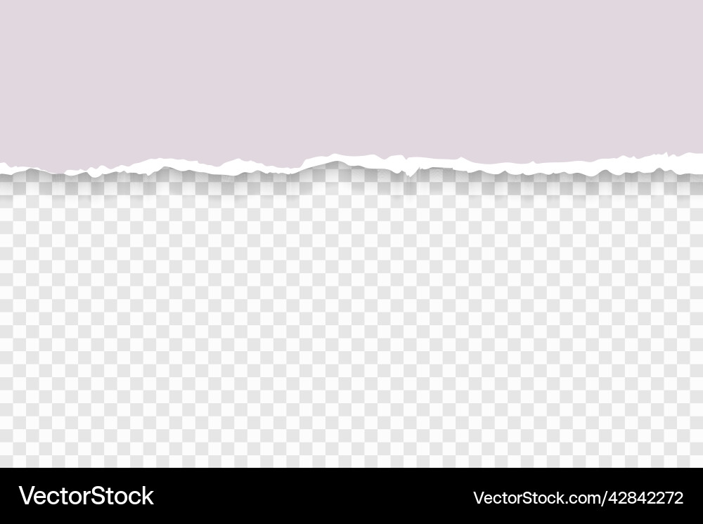 Torn paper with ripped edges and soft shadow vector image