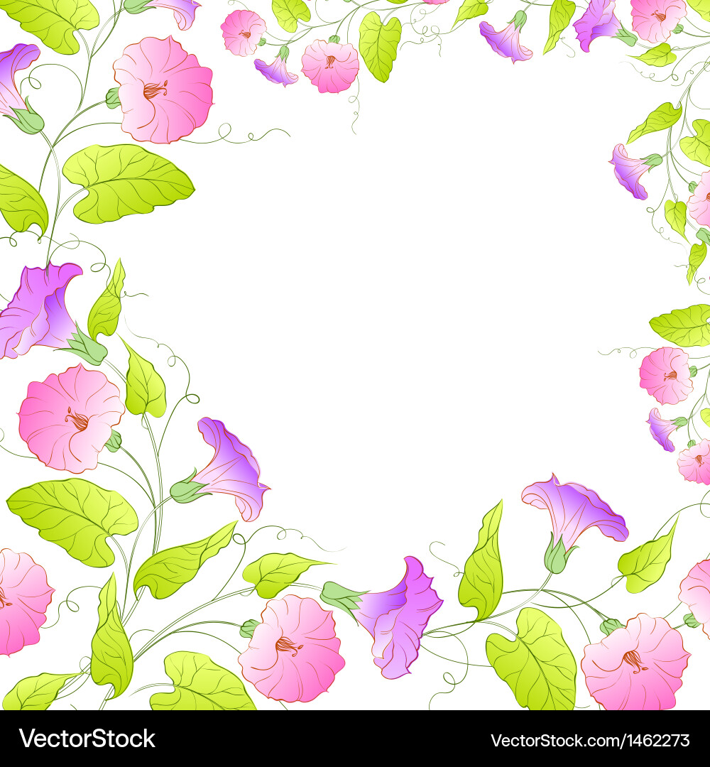 Floral Frame with Bindweed Vector Image
