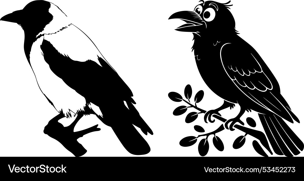 Isolated black silhouette bird crow Isolated black silhouette bird crow vector image
