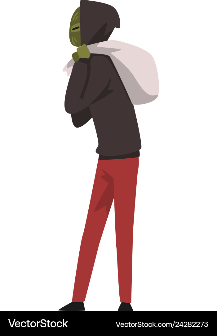 Masked robber or burglar with sack of money Masked robber or burglar with sack of money vector image
