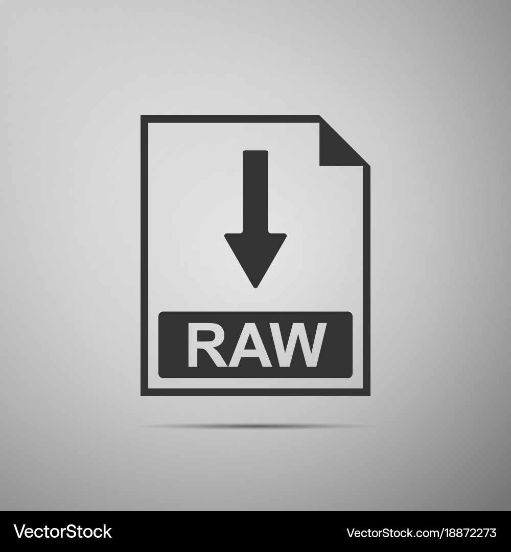Raw file document icon download button Vector Image