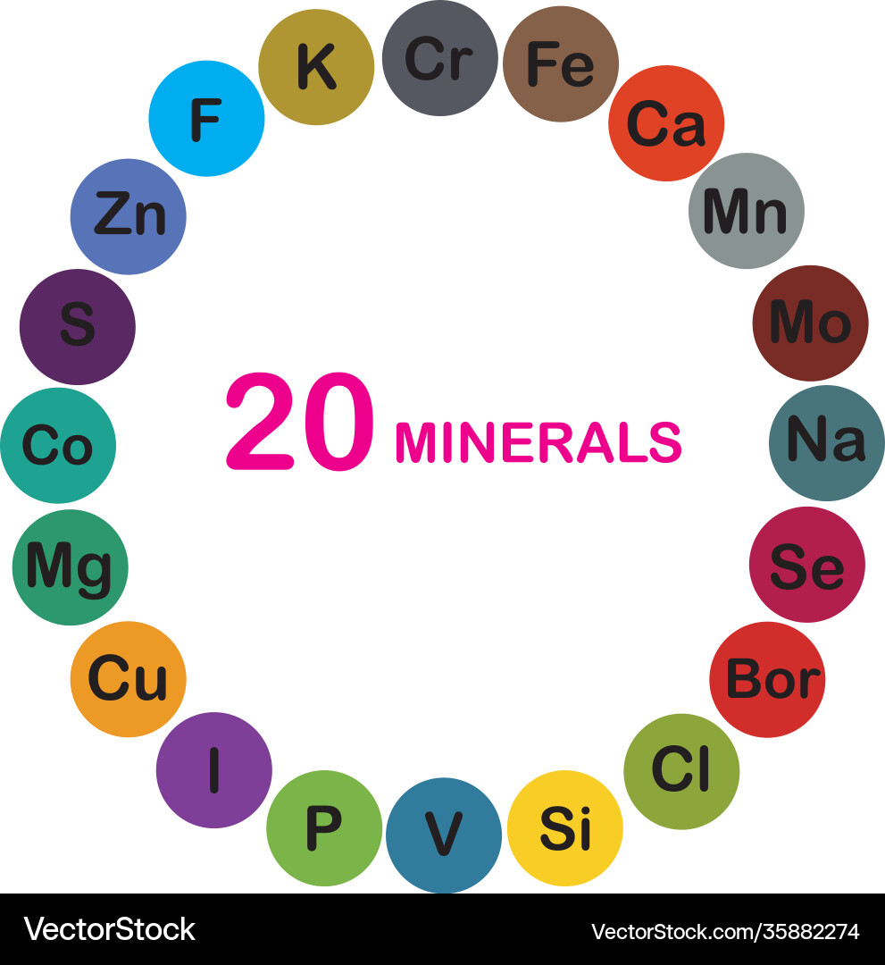 Minerals microelements and macro elements useful Minerals microelements and macro elements useful vector image