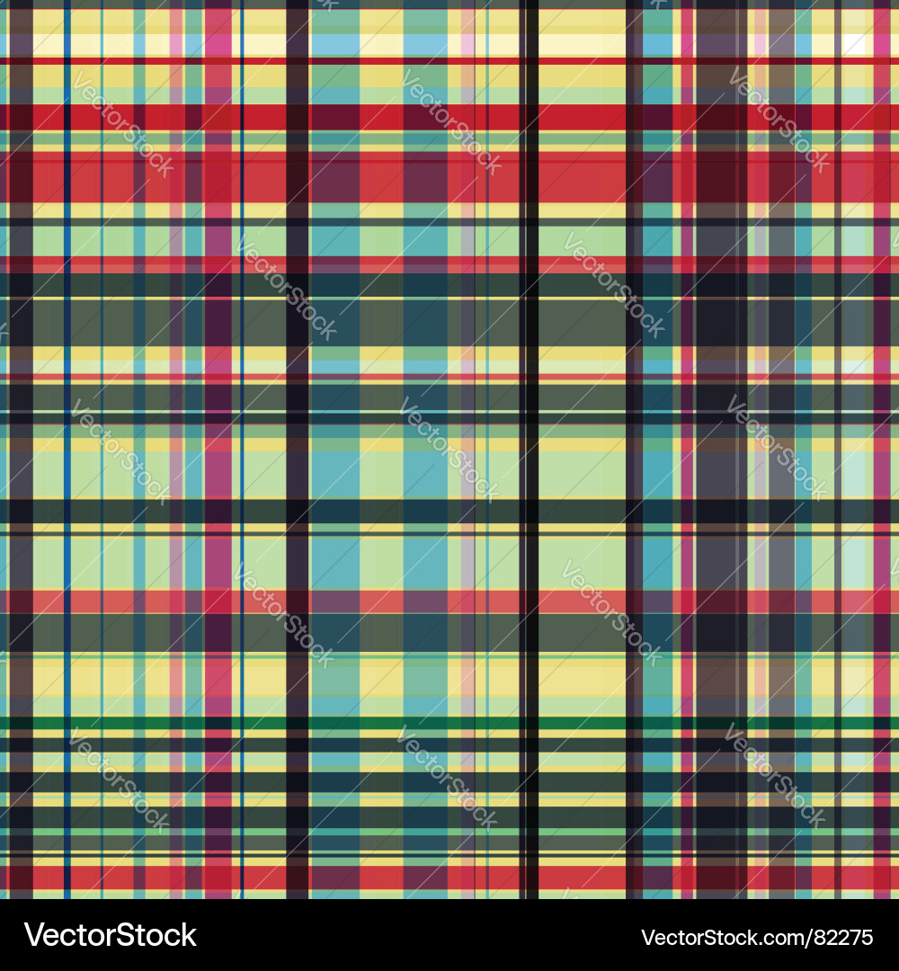 Gingham Check Pattern vector image
