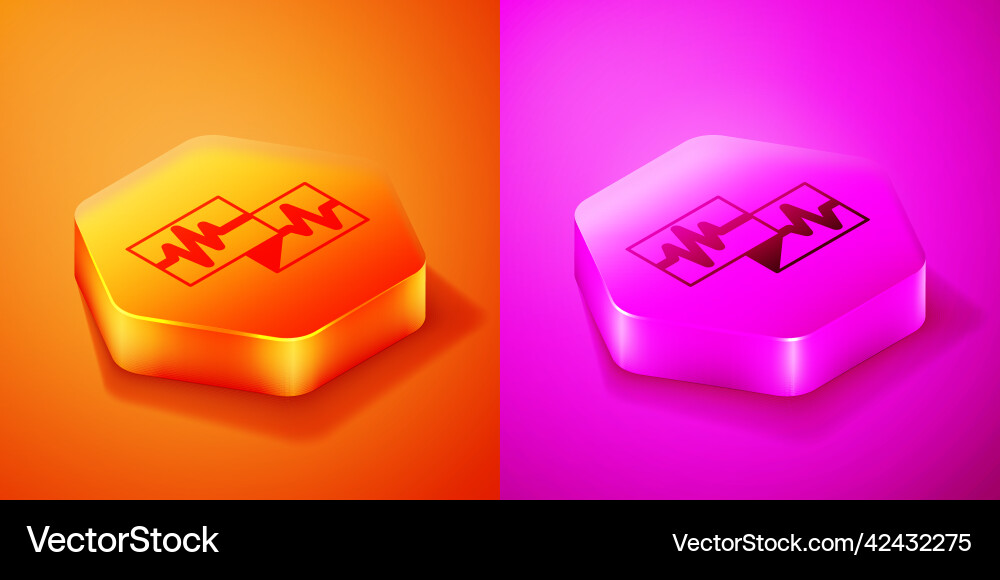 Isometric computer monitor with cardiogram icon Isometric computer monitor with cardiogram icon vector image
